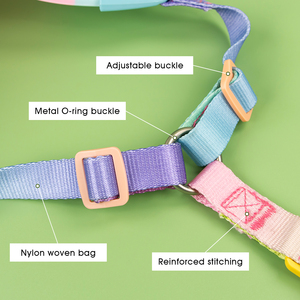 Hot Sale <span class=keywords><strong>Rainbow</strong></span> Gradiente Pet Arnês Ajustável PVC Chest Strap com Parafusos Reforçados Durable Nylon Straps para Cães Gatos - Product Image 5