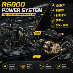 Coswheel para Motocicleta R6000, 6424W, 60V30Ah, Cuadro 70/100, Neumático 19M/C, Freno de Disco Hidráulico, LED, NFC, 80km/h - Product Image 3