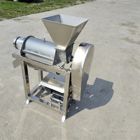 Verwerkingsapparatuur voor kiwi- en tomatensap, grote fruitpulp-pers, industriële sapcentrifuge voor sinaasappel, watermeloen