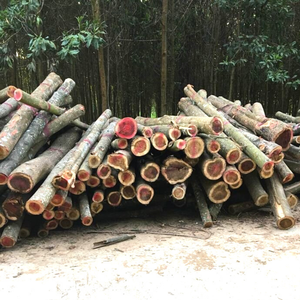 Find High Grade Teak Wood Log Price For Lumber And Sawing Low Moq New Packaging Alibaba Com