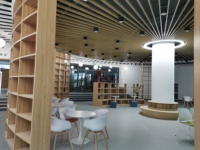 Armoire de rangement multi-scènes en composite résistant à l'humidité avec séparateur incurvé, étagère de bibliothèque et miroir