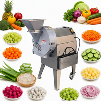 Hete Aanbiedingen Fruit- en Groenteblokjes Snijmachines Aloë Vera Snijmachine Commerciële Groente Snijders en Schijfmachines