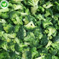 Cây Trồng Mới IQF Bông Cải Xanh Tươi Đông Lạnh Floret Chất Lượng Xuất Khẩu Hạng A Với Chứng Nhận BRC