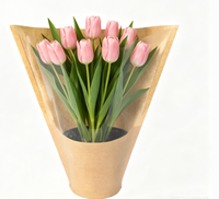 Manchon en papier kraft pour fleurs avec fenêtre transparente, sac d'emballage floral conique pour plantes en pot et bouquets