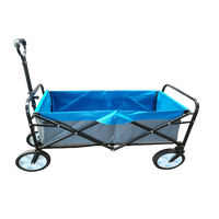 Chariot de transport pliable pour extérieur, camping, plage, pique-nique, chariot de camping pliable pour enfants, capacité 100 kg, acier