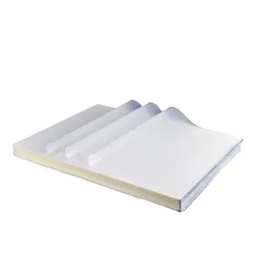 A3 size hot peel heat transfer DTF sheets DTF film matt pet film for dtf printer from Doyan