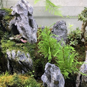 Moderne milieuvriendelijke blauw-zwarte drakenstenen voor aquariumdecoratie, rechtstreeks van de fabriek voor aquariumlandschapsarchitectuur. - Product Image 6