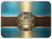 Tarjeta NFC de Valor Almacenado Personalizada OEM ODM, Tarjeta de Regalo Prepago de Plástico, Tarjeta de Fidelización con Estampado en Caliente