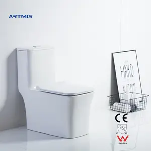 Inodoro de cerámica de una pieza para baño, artículos sanitarios de Wc, nuevo proveedor de China