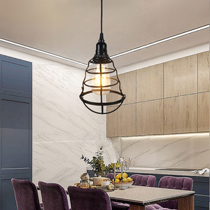 Modern basit çin demir kuş kafesi avize uzun ayarlanabilir yükseklik sıcak beyaz LED koridor Cafe Bar bireysel yaratıcı - Product Image 4