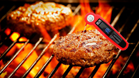 Termometer Daging Digital SW Customized dengan Probe Lipat Tahan Air, Termometer Makanan Bacaan Instan untuk Memasak dan Memanggang