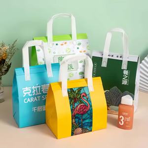 Custom Blank Disposable Eco-friendly Non Woven Aluminum Foil Take Away Cooler Packaging <b>Bags</b> Food Specific Packaging <b>Bags</b> - Product Image 1