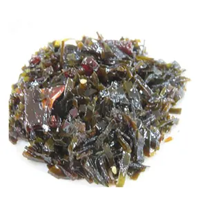 海藻昆布の葉海藻シーフード製品