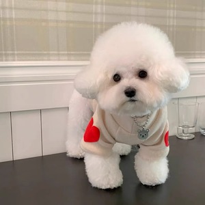 Moletom de Luxo com Coração Bordado para Cães e Gatos Pequenos, Quente e Durável para o Inverno, Ideal para Teddy, Bichon e Yorkie - Product Image 2