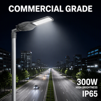 Lampadaire LED routier de qualité commerciale 300W IP65 étanche en alliage d'aluminium moulé sous pression, haute luminosité, économie d'énergie