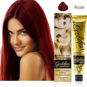 OEM Professional Salon Permanent Hair Color Cream Harmless Hair Color Hair Dye