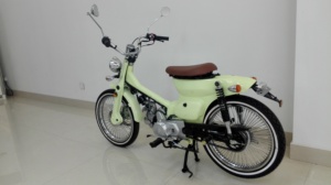Trial Mopeds 50 ccm