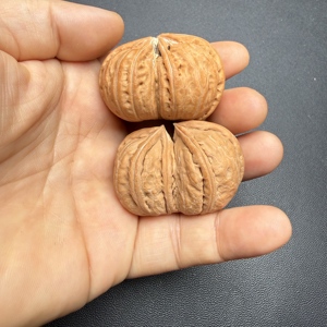 Raro Sgabello Artigianale in Noce Wenwan a Forma Esotica Unita, per Esercizio Manuale, da Collezione, Articolo Artigianale, Commercio all'Ingrosso, OEM, Regalo da Scrivania per Uomo - Product Image 3