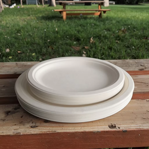 Assiette ovale biodégradable en bagasse de haute qualité, 10x8, jetable, <span class=keywords><strong>micro</strong></span>-ondable, alimentaire, pour desserts et fêtes - Product Image 4