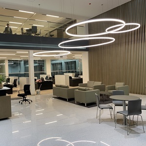 Trung Quốc Nhà Sản Xuất Phong Cách Hiện Đại Văn Phòng Ánh Sáng Trần Mưa <span class=keywords><strong>Drop</strong></span> Lens Led Tuyến Tính Pendant Chiếu Sáng - Product Image 3