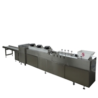 Automatische productielijn voor ontbijtgranen, energierijke nougat, muesli, eiwitrepen, snoepjes en fruitrepen, hoge efficiëntie 2-3T/uur