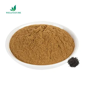 Psoralea Corylifolia L Extract Powder 10:1