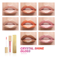 Dicloud olac — gloss pour lèvres, maquillage, vente en gros, cosmétiques, brillant, hydratant, gloss cristal, vente en gros
