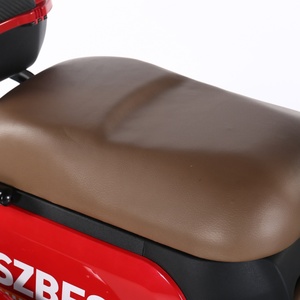 2024 NEW Electric Mobility Scooter 1000W Electric Tricycle Cargo Tricycle for Adults Triciclo Electrico - Product Image 6