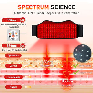 업그레이드된 LED 비즈 적색광 치료 웨어러블 랩 660nm&850nm 적색광 허리 지지 벨트 (여성/남성용) - Product Image 2