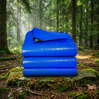 Bâche en PE tissée robuste, imperméable et anti-UV, pour camion et camping, vente en gros, en rouleau, fournisseur d'usine YRH