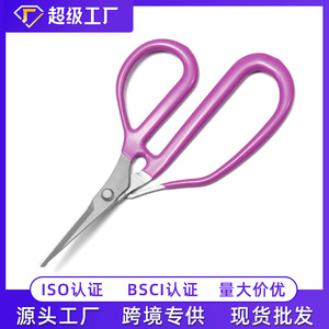 Jolies cisailles de jardinage en acier inoxydable violettes 2,5 mm pour le jardinage et la fleuristerie - Product Image 5