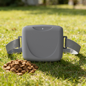 Taşınabilir Silikon Köpek Ödül Çantası Sızdırmaz Evcil Hayvan Eğitim Çantası Köpek Maması Atıştırmalık Bel Çantası Eğitim İçin - Product Image 3