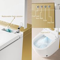 WC intelligent haut de gamme avec bidet intégré, eau chaude, séchage à l'air, acier inoxydable, entièrement automatique, éclairage d'ambiance pour