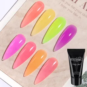 9 colores Neon Color Acrygel Poly gel Venta al por mayor Suministros para uñas Oem Private Label UV Nail Extension Poly Acrílico Poly Gel