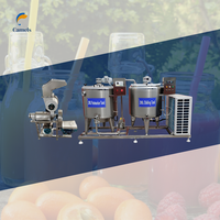 Kleine sapverwerkingsmachine voor mango's