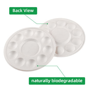 SINOART 10 puits <span class=keywords><strong>Palette</strong></span> <span class=keywords><strong>jetable</strong></span> bambou naturellement biodégradable Bio-Eco artiste acrylique <span class=keywords><strong>palette</strong></span> de <span class=keywords><strong>peinture</strong></span> aquarelle - Product Image 4