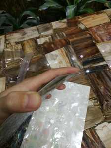 Natural純白Mexican <span class=keywords><strong>Paua</strong></span> Shellシート卸売ネイルアートステッカー - Product Image 2