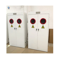Armoire de sécurité industrielle à chaîne fixe interne en acier pour deux bouteilles de gaz inflammables avec alarme