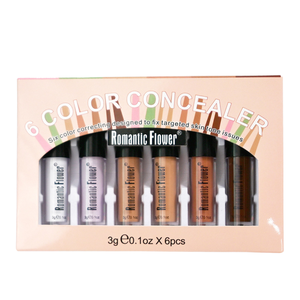 Cross-Border Trade 6-Farben-Mineralcreme-Concealer-Set Wasserdichtes, schweiß festes Sonnenschutz-Konturierungs-Gesichts-Make-up - Product Image 2