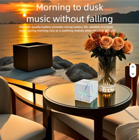 Subwoofer Mini Portabel Nirkabel Tahan Air DC Plastik Baru Lampu LED RGB Jam AirPlay Audio Dua Arah Crossover Mikrofon Terintegrasi