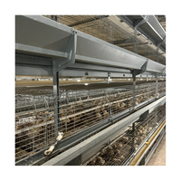Volaille ferme jour vieux bébé poussin incubateur Cage à poulet à vendre
