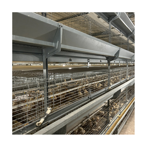 Volaille ferme <span class=keywords><strong>jour</strong></span> vieux bébé <span class=keywords><strong>poussin</strong></span> incubateur Cage <span class=keywords><strong>à</strong></span> poulet <span class=keywords><strong>à</strong></span> <span class=keywords><strong>vendre</strong></span> - Product Image 5