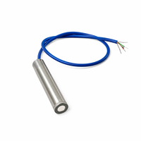 High Resolution Vibrating Wire Piezometer for Tailings Pond Monitoring