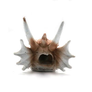 Reptilien harz Drache auf Schädel verstecken Höhle Lebensraum für Reptilien <span class=keywords><strong>Terrarium</strong></span> Dekoration - Product Image 2