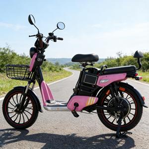Bicicleta Eléctrica de 500W y 14 Pulgadas para Adultos, 48V 11AH, Cuadro de Acero al Carbono, Motor Trasero sin Escobillas, Suspensión Completa, 30-50 km/h - Product Image 1