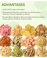 Venta al por mayor de papas fritas al vacío 100% naturales, saladas, OEM disponible, VF Saludables, Chips de Frutas y Verduras