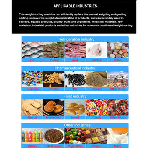 Dokunmatik ekran konveyör bant kontrol kantarı yüksek hızlı otomatik dinamik çevrimiçi konveyör bant dijital tartı - Product Image 6