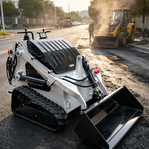 Fast Shipping Interchangeable <b>Tracks</b> and Tires Mini Skid Steer with for Sale - Product Image 1