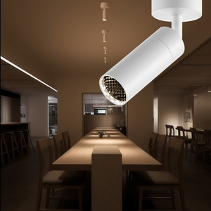 Design élégant 3 °   Spots contemporains à angle étroit <span class=keywords><strong>pour</strong></span> plafonds hauts, CRI élevé, <span class=keywords><strong>luminaire</strong></span> sur <span class=keywords><strong>rail</strong></span> unique <span class=keywords><strong>pour</strong></span> vitrine - Product Image 2