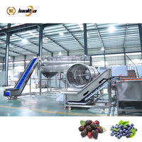 Industriële bessenontstammer-waslijn, groente- en fruitbelwasmachine, automatische bessenwasmachinelijn